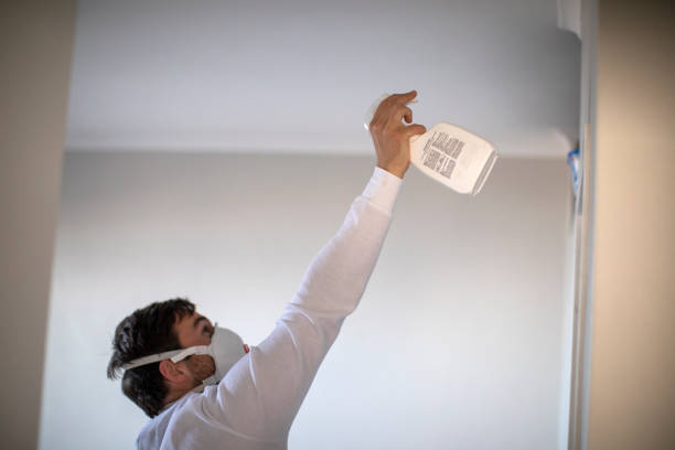Best Attic Mold Remediation in Rexburg, ID