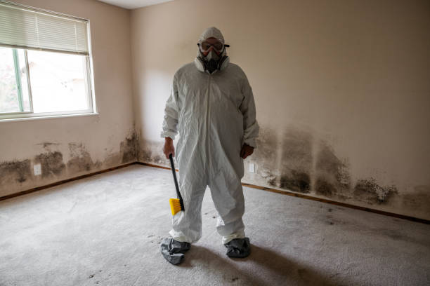 Best Industrial Mold Remediation in Rexburg, ID